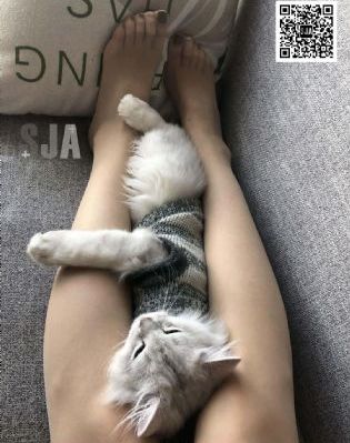 目的地上海