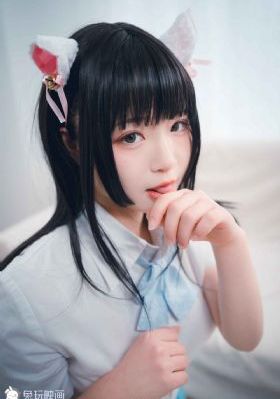 精英律师电视剧全集免费观看